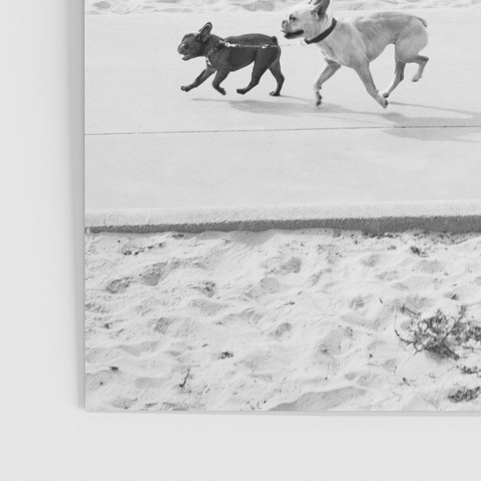 Puppy Traffic, French Bulldogs, Frenchie Art, French Bulldog Gifts Poster Gallery Image 3