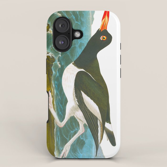 Pied oyster-catcher Bird iPhone Case Gallery Image 1