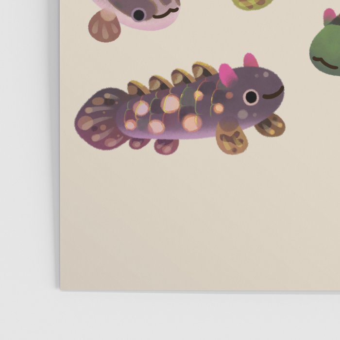 Baby polypterus Poster Gallery Image 3