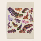 Baby polypterus Poster Gallery Image 4