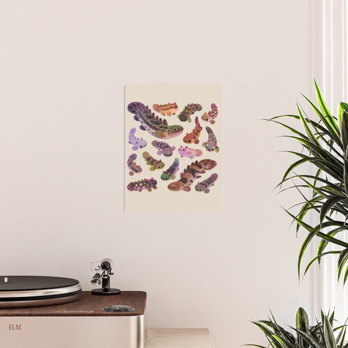 Baby polypterus Poster Gallery Image 2