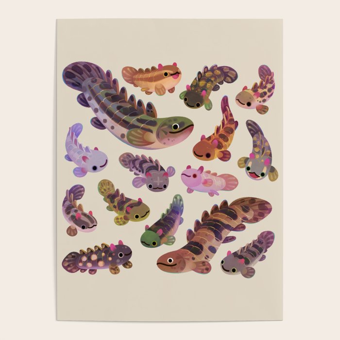 Baby polypterus Poster Gallery Image 1