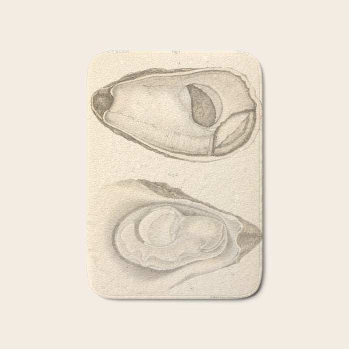 Oyster Anatomy Bath Mat Gallery Image 1