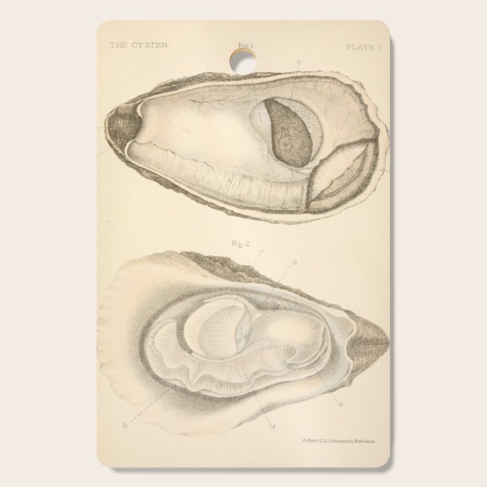 Oyster Anatomy Cutting Board Gallery Image 1