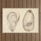 Oyster Anatomy Outdoor Rug Gallery Image 1