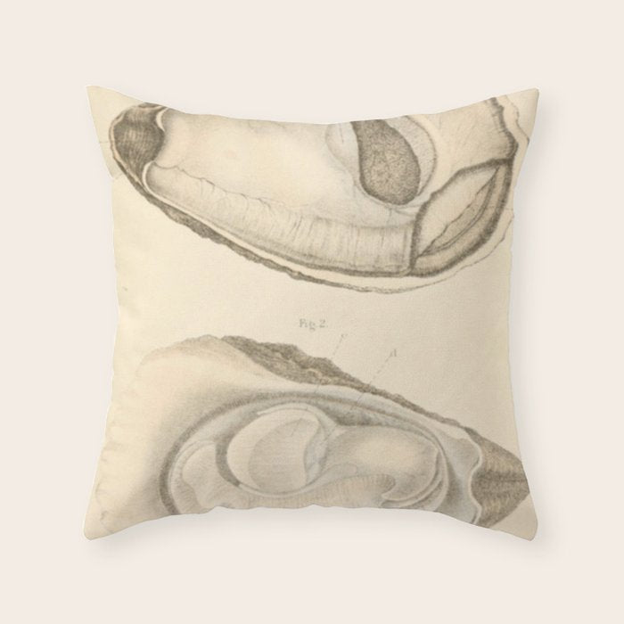 Oyster Anatomy Throw Pillow Gallery Image 6