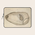 Oyster Anatomy Laptop Sleeve Gallery Image 1