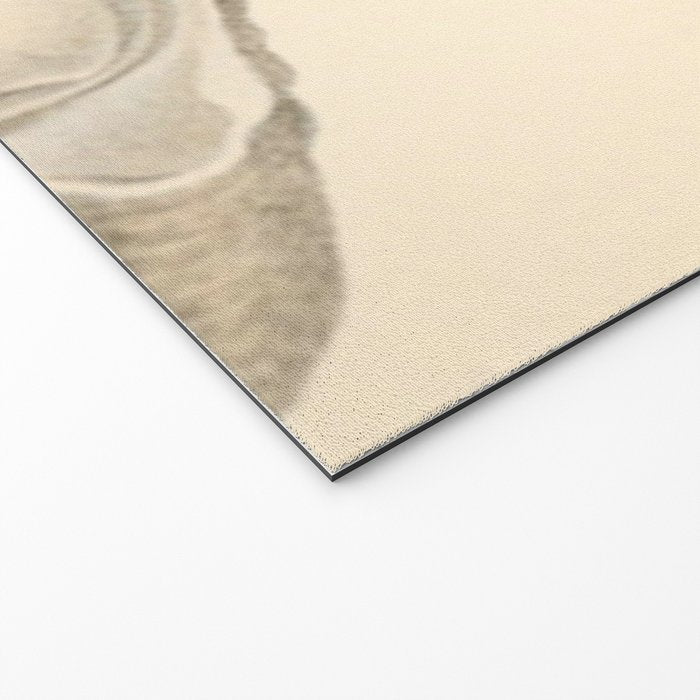 Oyster Anatomy Welcome Mat Gallery Image 2