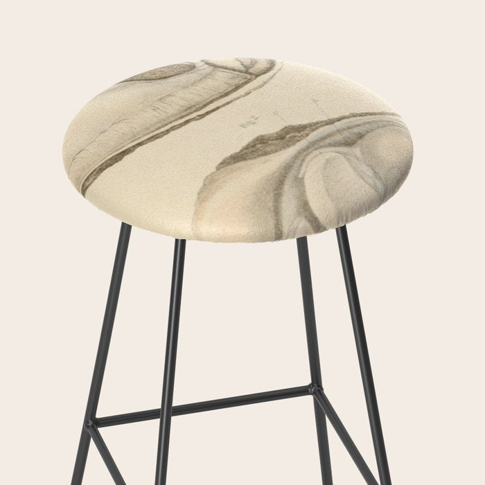 Oyster Anatomy Stool Gallery Image 2