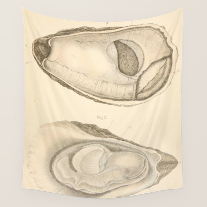 Oyster Anatomy Wall Tapestry Gallery Image 4