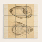 Oyster Anatomy Wood Wall Art Gallery Image 1