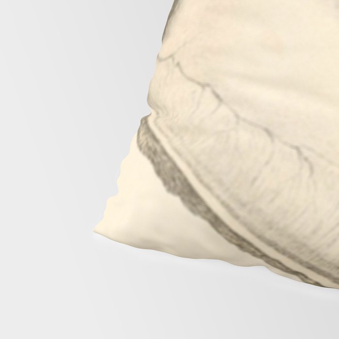 Oyster Anatomy Pillow Sham Gallery Image 4