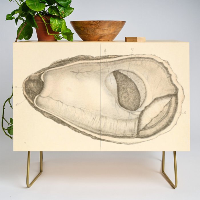 Oyster Anatomy Credenza Gallery Image 1