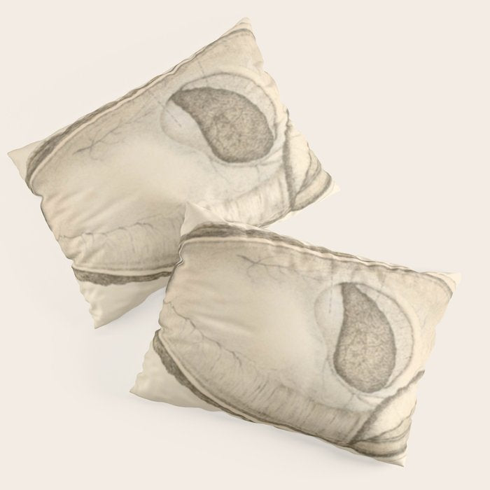 Oyster Anatomy Pillow Sham Gallery Image 1