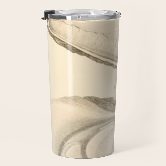 Oyster Anatomy Travel Mug Gallery Image 3