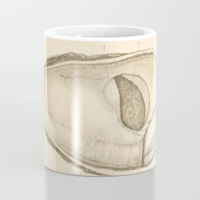 Oyster Anatomy Coffee Mug Gallery Image 4