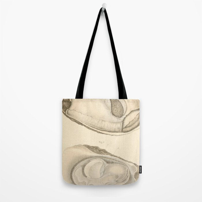 Oyster Anatomy Tote Bag Gallery Image 2