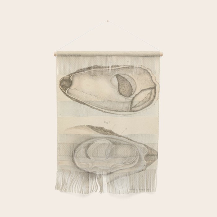 Oyster Anatomy Wall Hanging Gallery Image 1