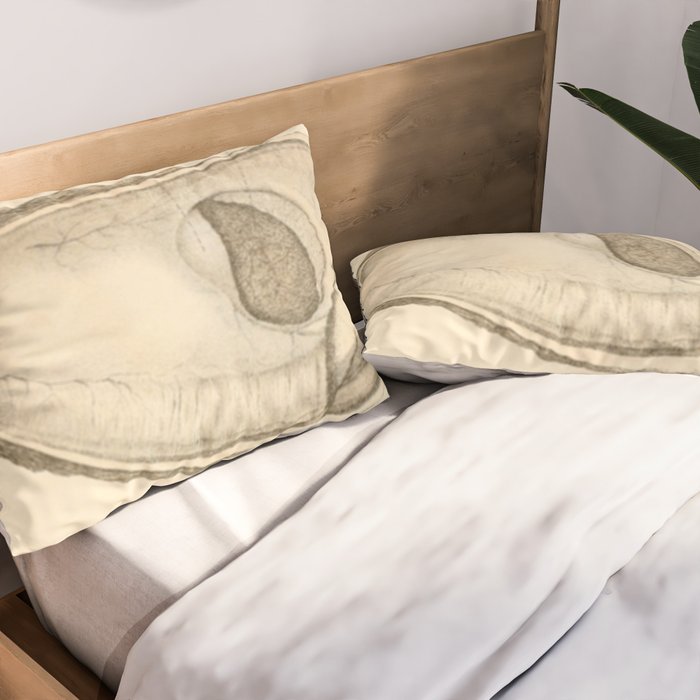 Oyster Anatomy Pillow Sham Gallery Image 2