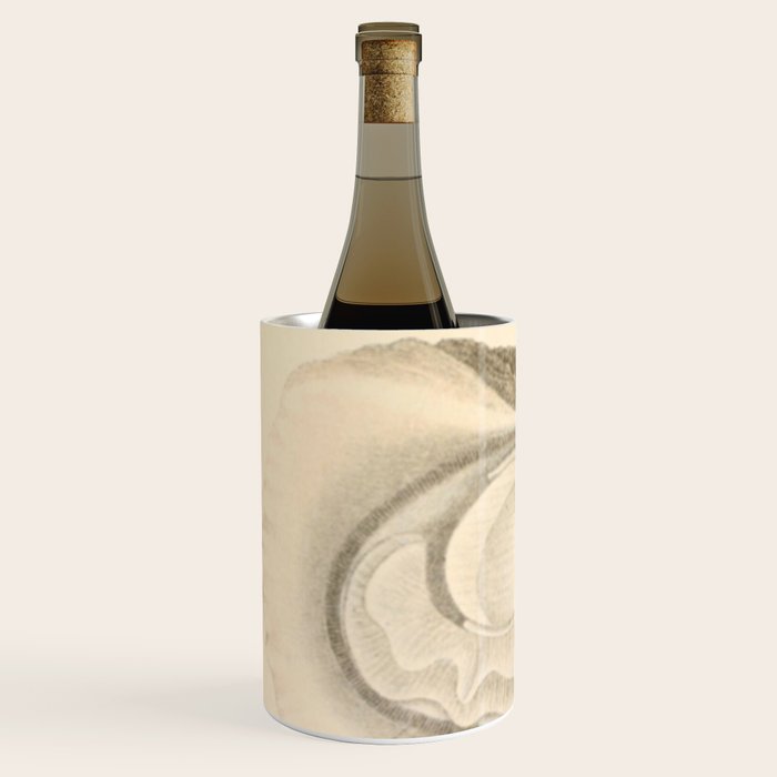 Oyster Anatomy Wine Chiller Gallery Image 2
