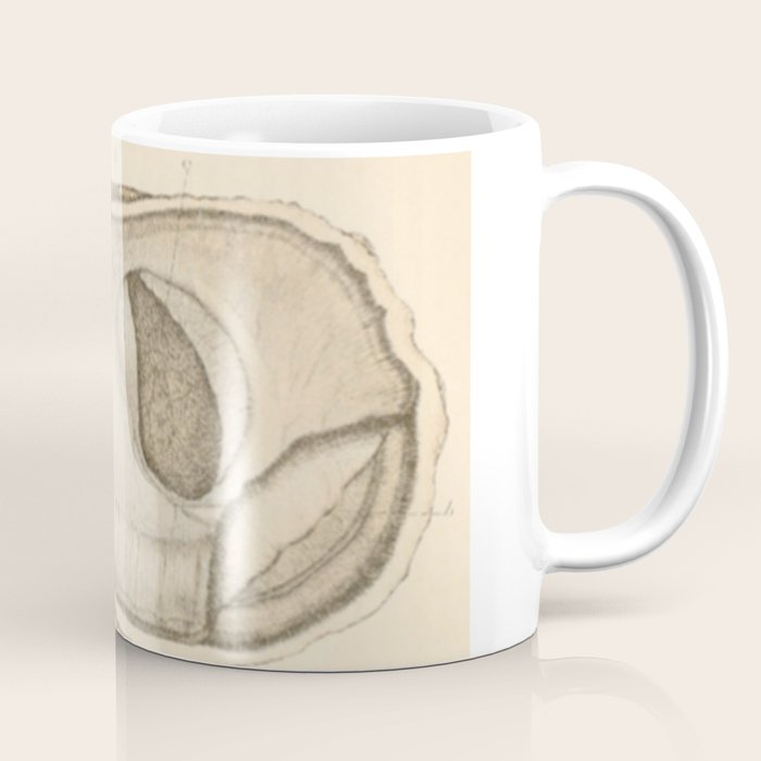 Oyster Anatomy Coffee Mug Gallery Image 1