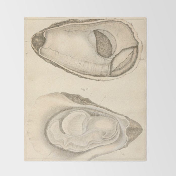 Oyster Anatomy Throw Blanket Gallery Image 2