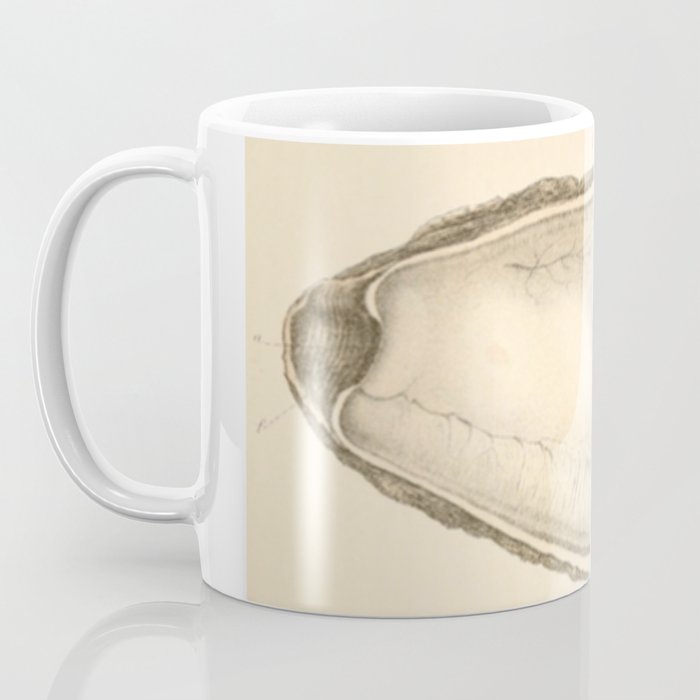 Oyster Anatomy Coffee Mug Gallery Image 3