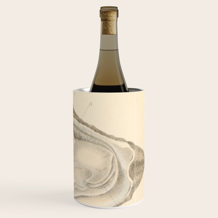 Oyster Anatomy Wine Chiller Gallery Image 3