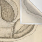 Oyster Anatomy Wall Tapestry Gallery Image 3