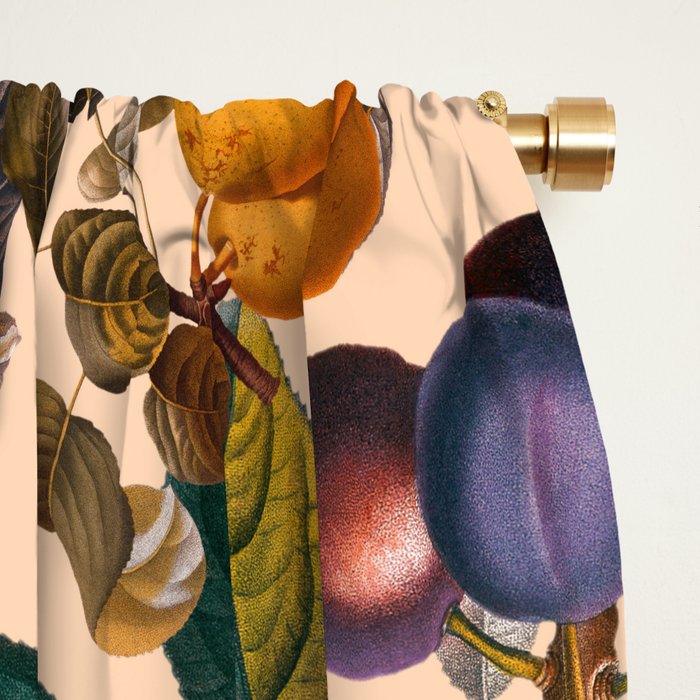 Vintage Fruit Pattern IX Window Curtain Gallery Image 2