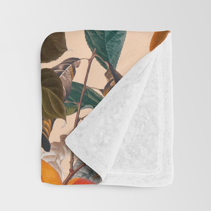 Vintage Fruit Pattern IX Throw Blanket Gallery Image 3