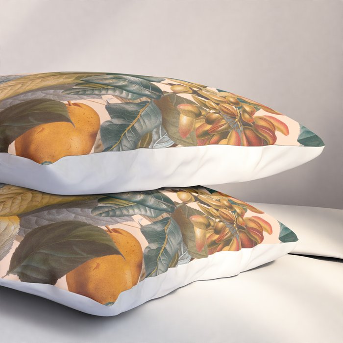 Vintage Fruit Pattern IX Pillow Sham Gallery Image 3