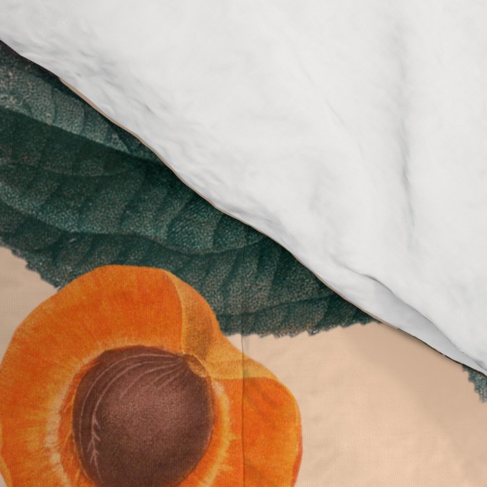 Vintage Fruit Pattern IX Comforter Gallery Image 4