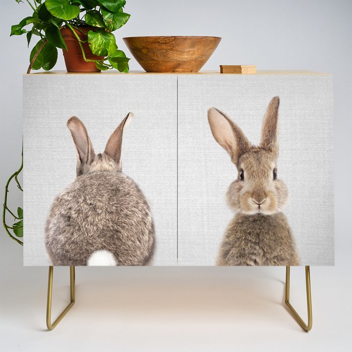 Rabbit Tail - Colorful Credenza Gallery Image 1