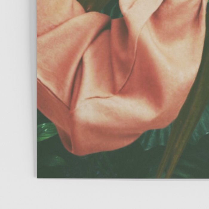 Palms Poster Gallery Image 3