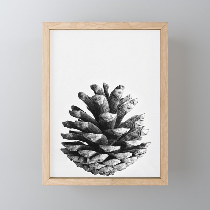 pinecone nature plants Mini Art Print Gallery Image 1