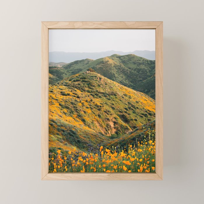 Superbloom Poppies 02 Mini Art Print Gallery Image 1