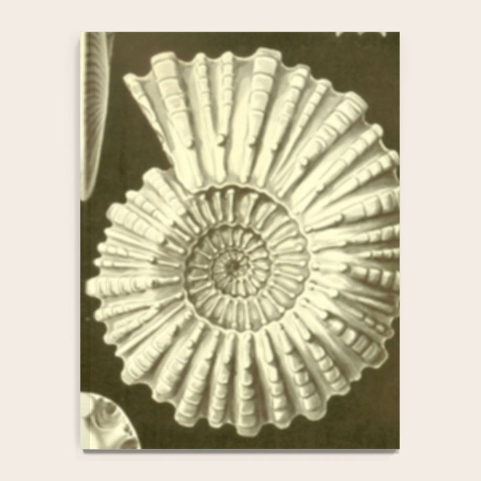 Naturalist Ammonites Notebook Gallery Image 4