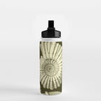 Naturalist Ammonites Water Bottle Gallery Image 2
