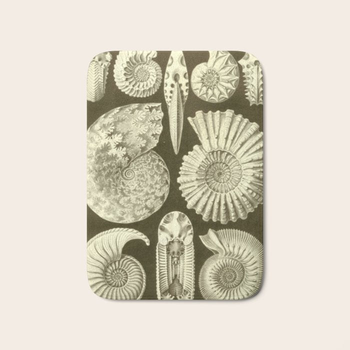 Naturalist Ammonites Bath Mat Gallery Image 1