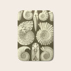 Naturalist Ammonites Bath Mat Gallery Image 1