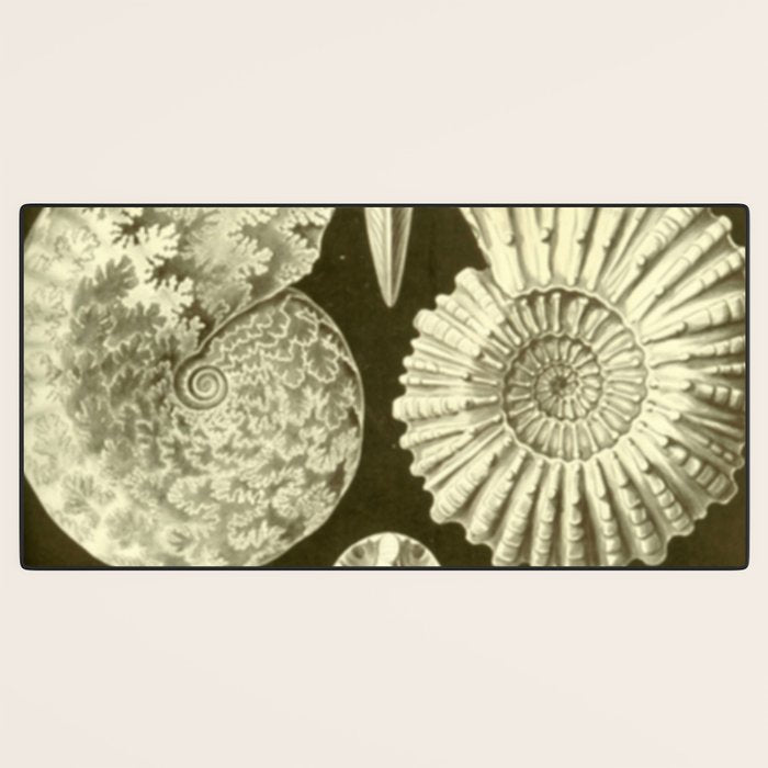 Naturalist Ammonites Desk Mat Gallery Image 3