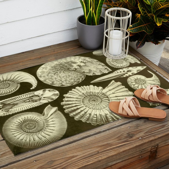 Naturalist Ammonites Outdoor Rug Gallery Image 2