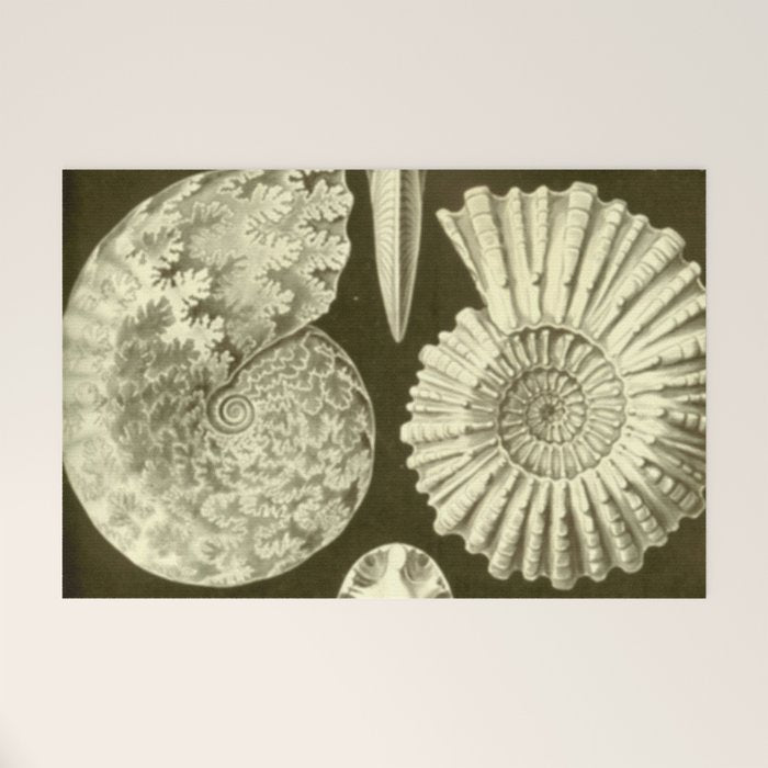 Naturalist Ammonites Welcome Mat Gallery Image 1