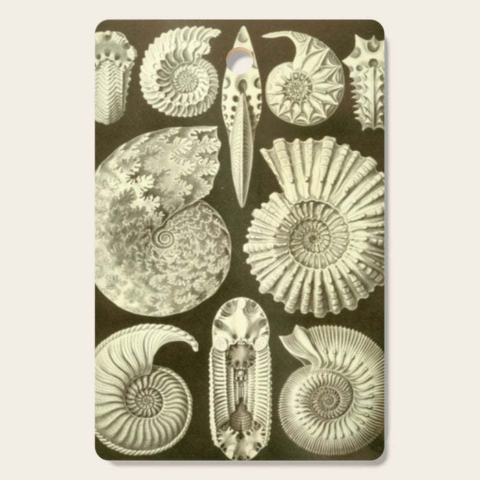 Naturalist Ammonites Cutting Board Gallery Image 1