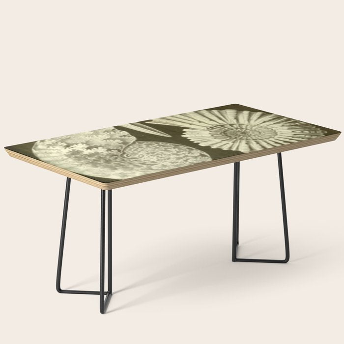 Naturalist Ammonites Coffee Table Gallery Image 1