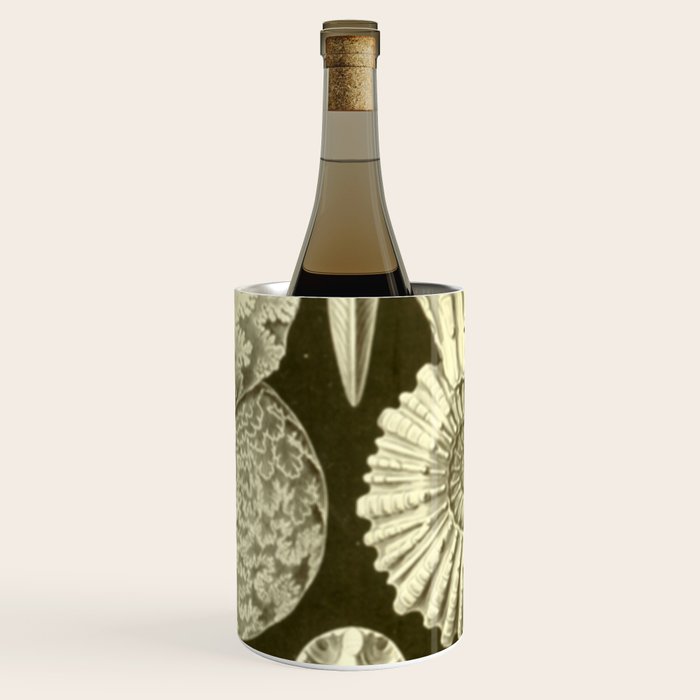 Naturalist Ammonites Wine Chiller Gallery Image 1
