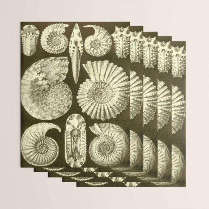 Naturalist Ammonites Wrapping Paper Gallery Image 3