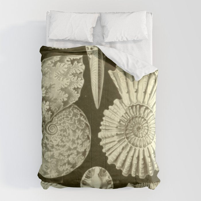 Naturalist Ammonites Comforter Gallery Image 1