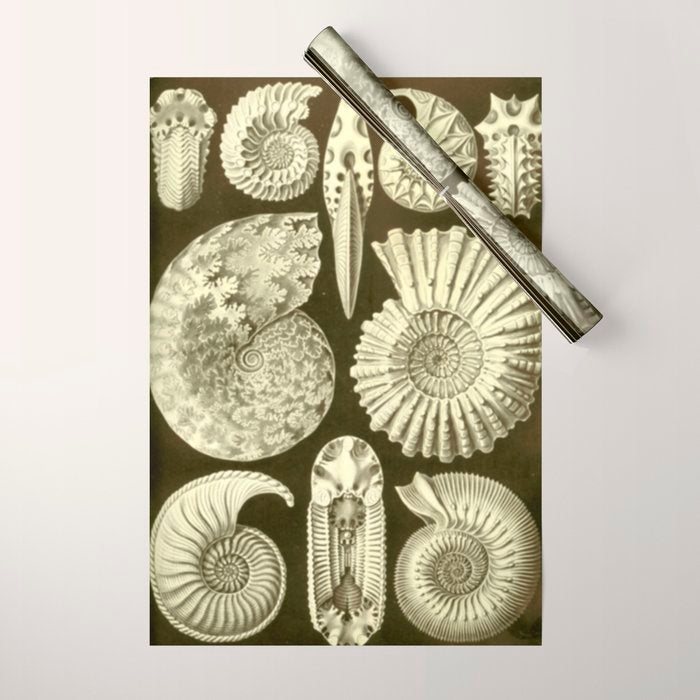Naturalist Ammonites Wrapping Paper Gallery Image 1